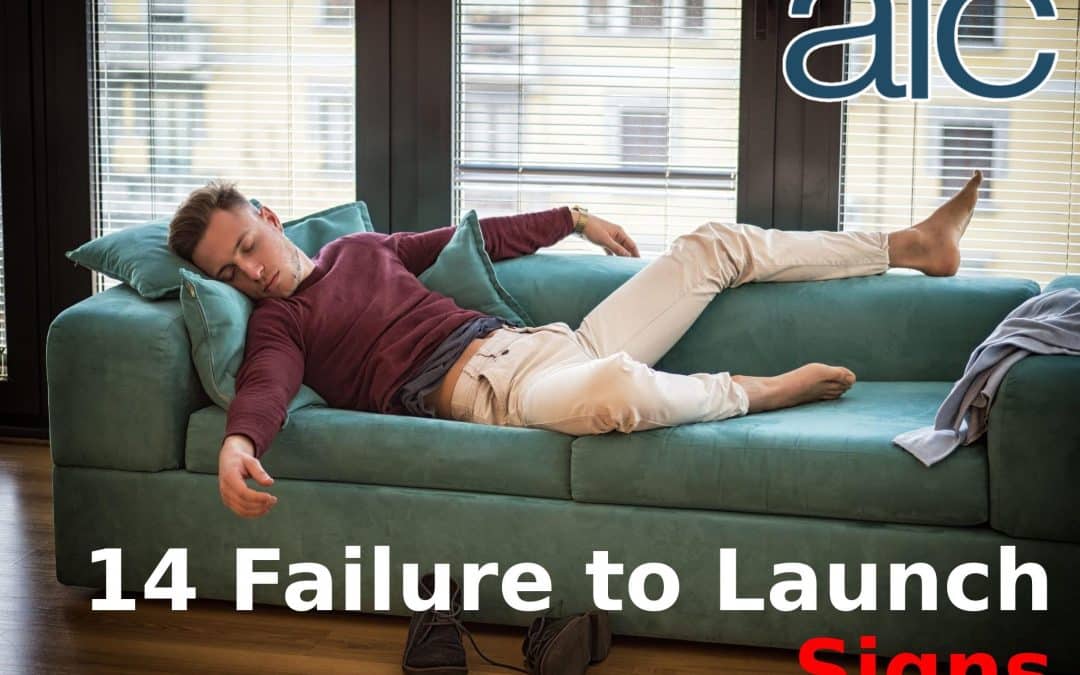 14 Signs Your Teen Needs Failure To Launch Programs In 2024